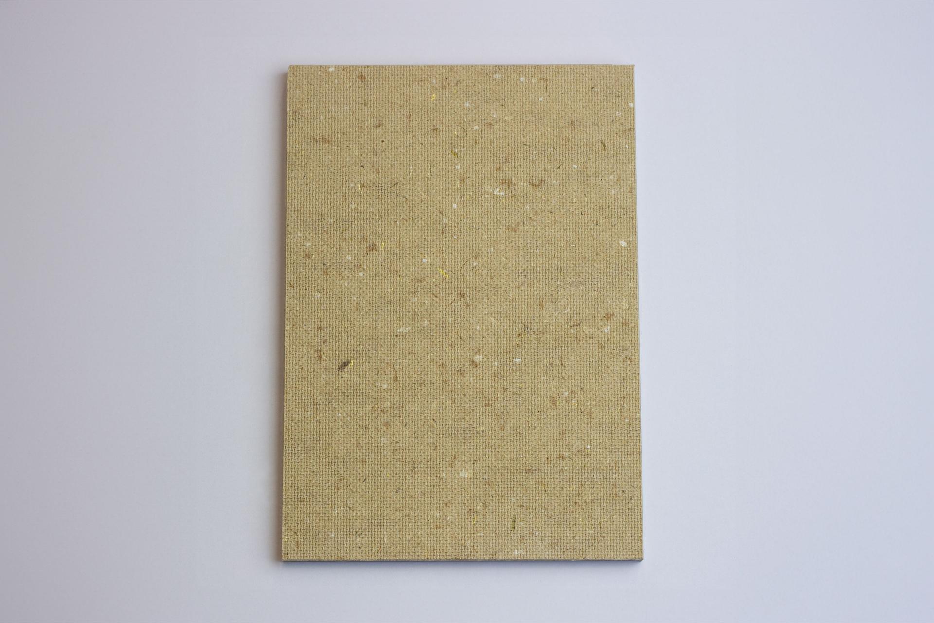 SAM Solid 10_2